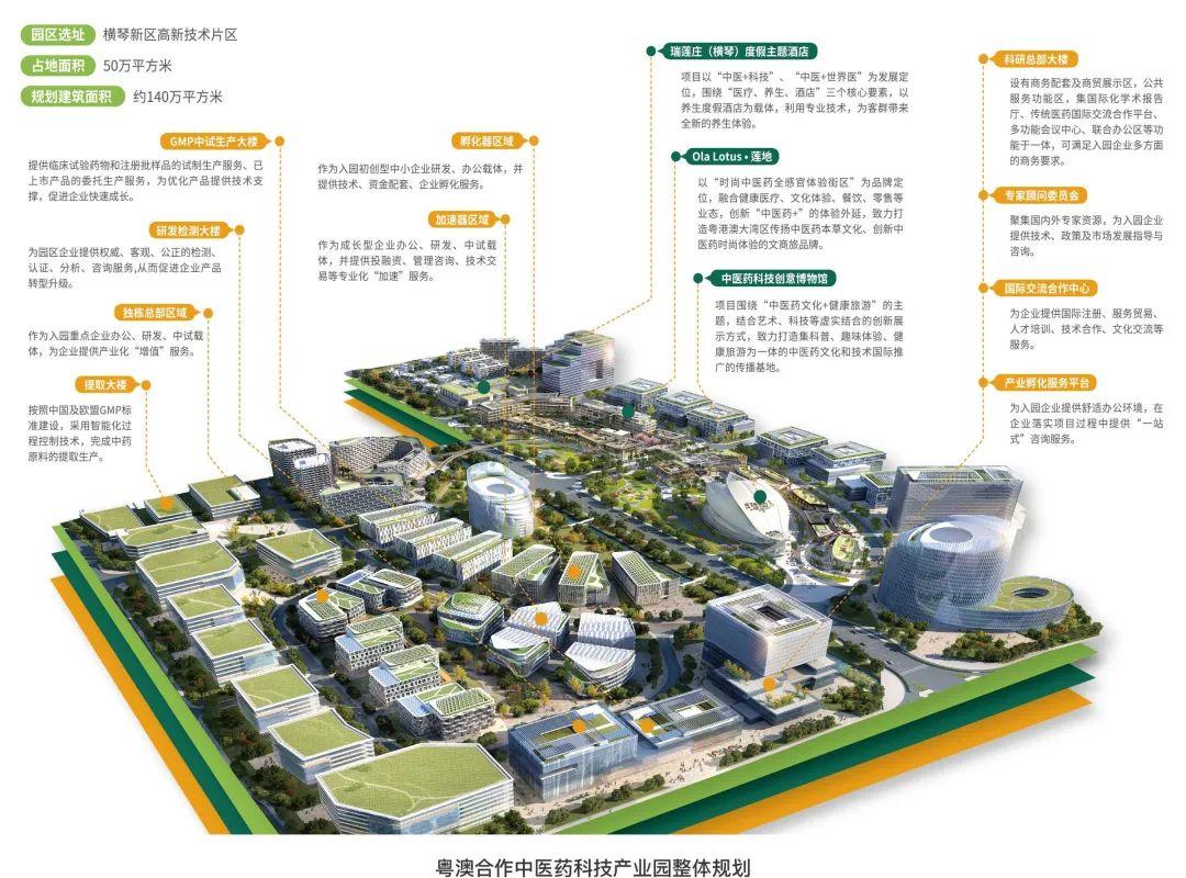 2025新澳门最精准免费大全|讲解词语解释释义