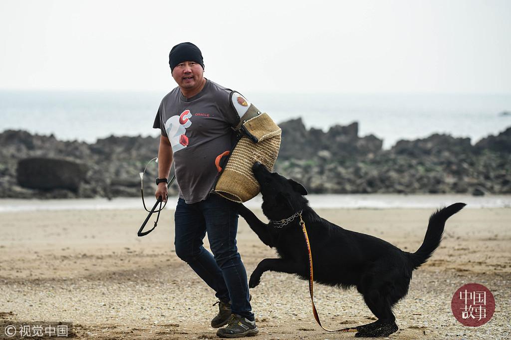 最新招聘训犬师——专业人才的呼唤与犬业发展的新篇章