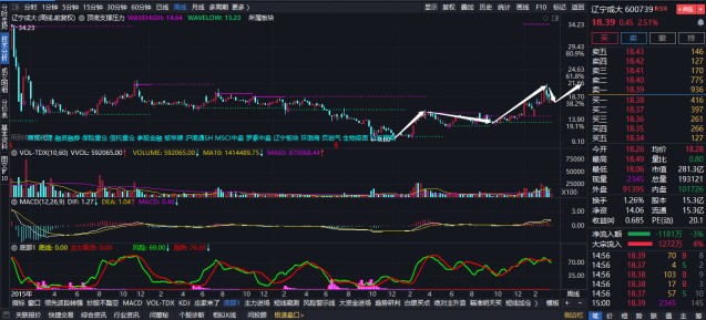 辽宁成大股票最新公告解析