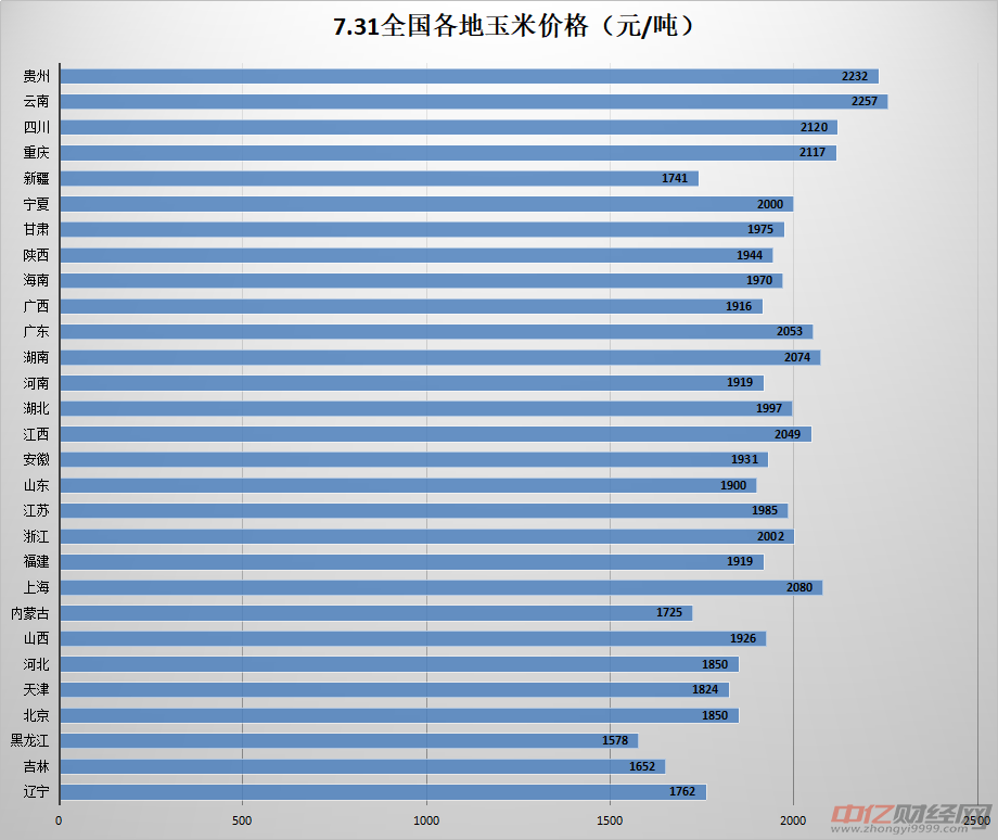 聊城玉米最新价格行情分析